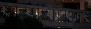 Candles lit in support of medical professionals and their families along the edge of the Cathedral plaza are seen from the opposite side of the 101 freeway in downtown LA. (Sarah Yaklic)
