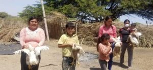 Screenshot | Angelus en Español Durante la pandemia de COVID, el obispo Prevost ayudó a organizar la entrega de miles de pollos a residentes en Perú que pasaban por momentos difíciles. (Captura de pantalla vía YouTube)