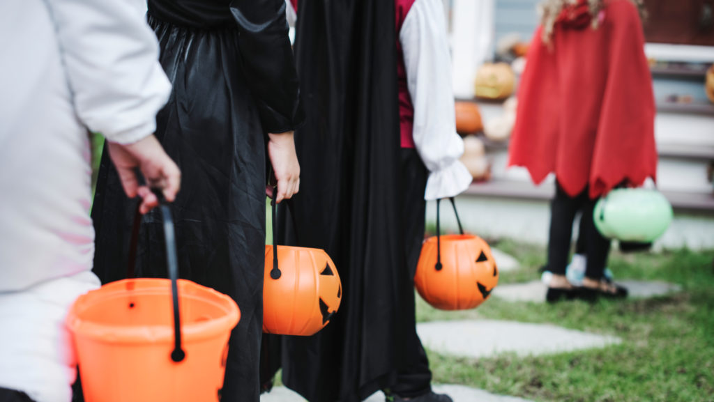 shutterstock_1171194730-e1761613457449-1024x577 | Angelus en Español