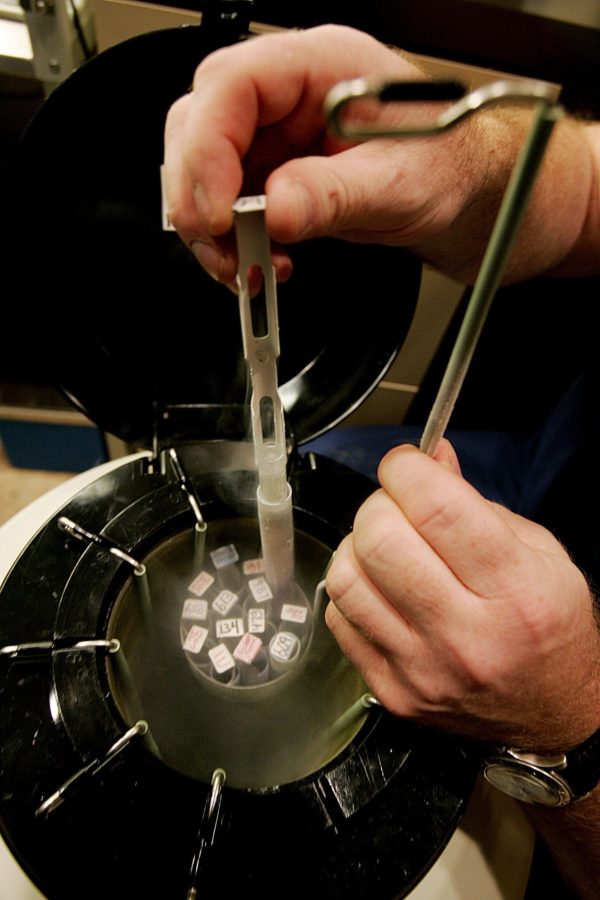Un procedimiento de inseminación artificial se lleva a cabo en un laboratorio de fecundación in vitro. (OSV News/Sandy Huffaker, Reuters)